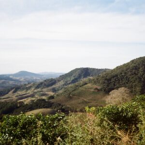 Brazil: Vila Boa Bourbon,Carbon Neutral.
